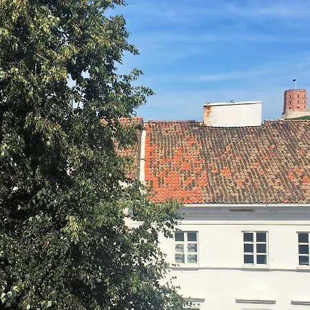 Grand Duke Apartment *